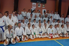 Karate Unterricht bei Großmeister Higuchi