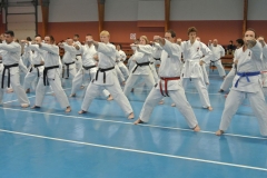 Ausbildungs-und Prüfungsprogramm in Shotokan Karatedo, Aikido, Iaido, Nihon Jujutsu und Judo.