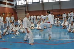 In einem besonderen Lehrkapitel widmet sich Großmeister Higuchi verschiedenen Sprungtechniken aus Kanku-dai, Kanku-Sho, Meikyo und Unsu