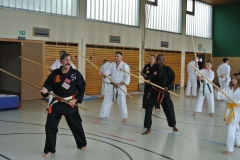 Bo-Jutsu Training unter Hans-D. Rauscher