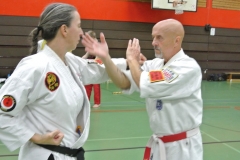 Karate-Do-Serientraining