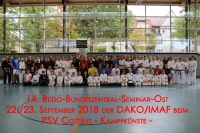 2018bzl (1)