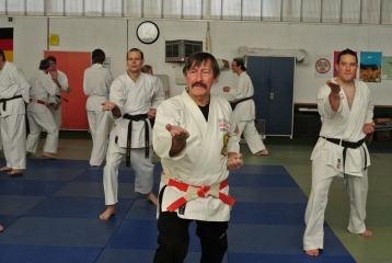 Seminarleiter Shihan Hans-D. Rauscher