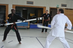 Zum Abschluss der Bo-Jutsu Einheit konnten alle Teilnehmer ihre Reflexe mit den Safety-Bo testen.