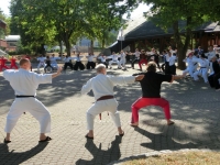 Samurai Camp