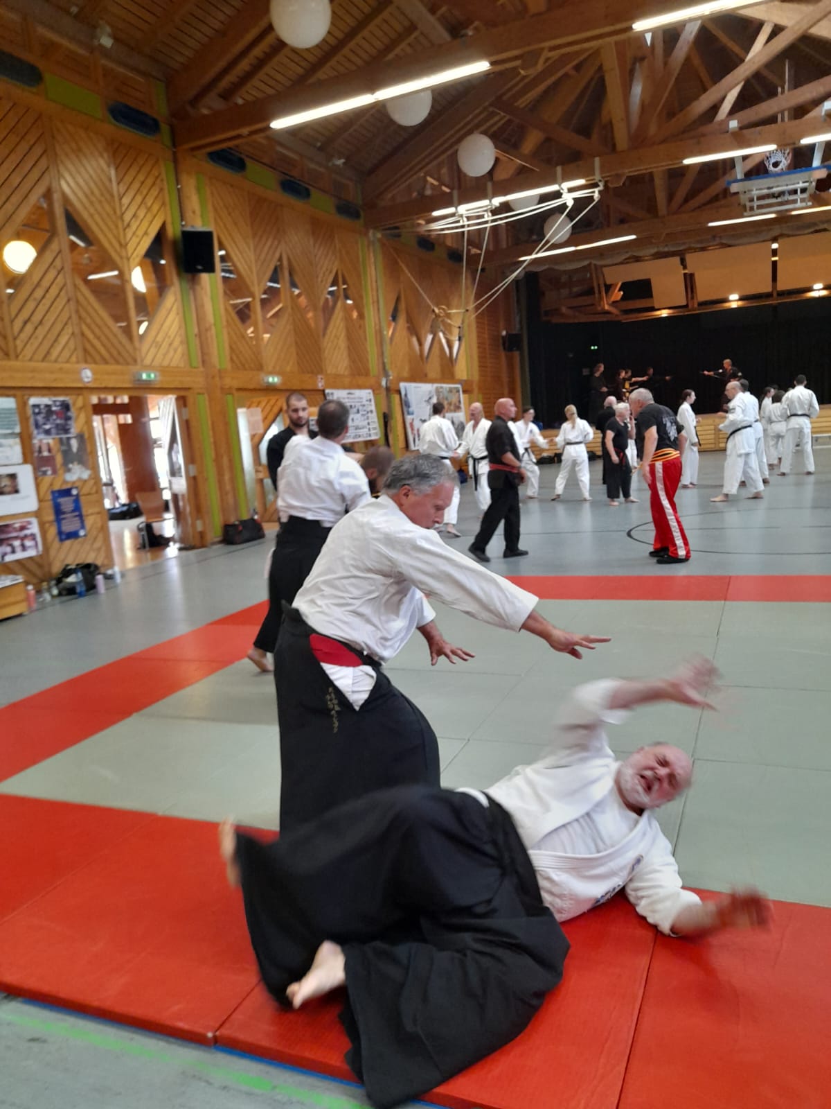 Ralf Oschmann unterrichtet Aikido